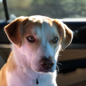 Meet your Posher, Macey